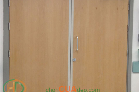 Cửa thép chống cháy vân gỗ